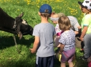 Wizyta w gospodarstwie wiejskim 2018_29